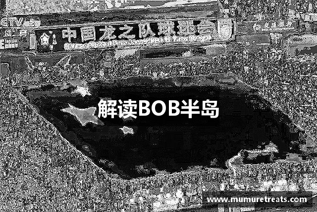 解读BOB半岛